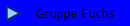 Gruppe Fuchs