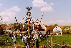 Maibaum aufstellen