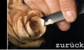 Hier geht es zurück zur STARTSEITE